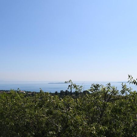 Alice'S Nest-Lake View House パデンゲ・スル・ガルダ エクステリア 写真